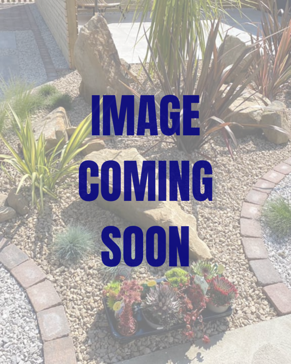 Basalt Chippings - 20mm