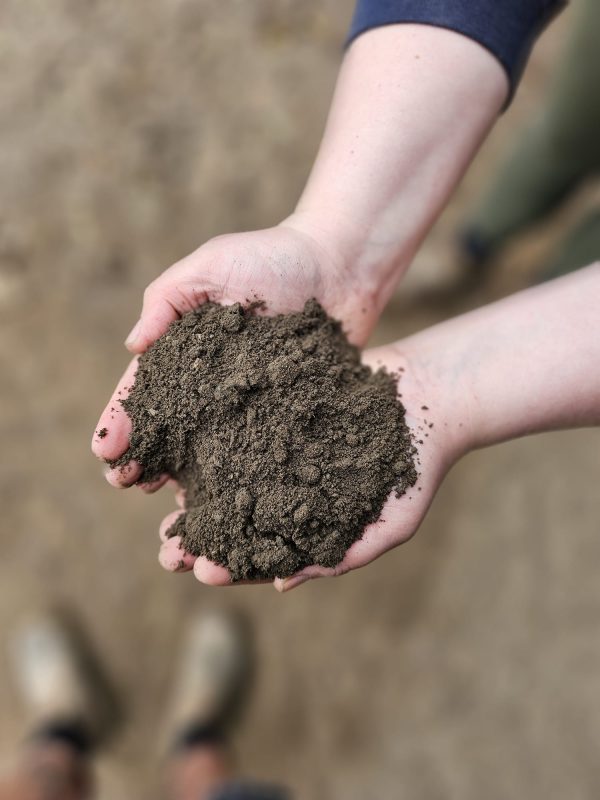 BS3882 Topsoil