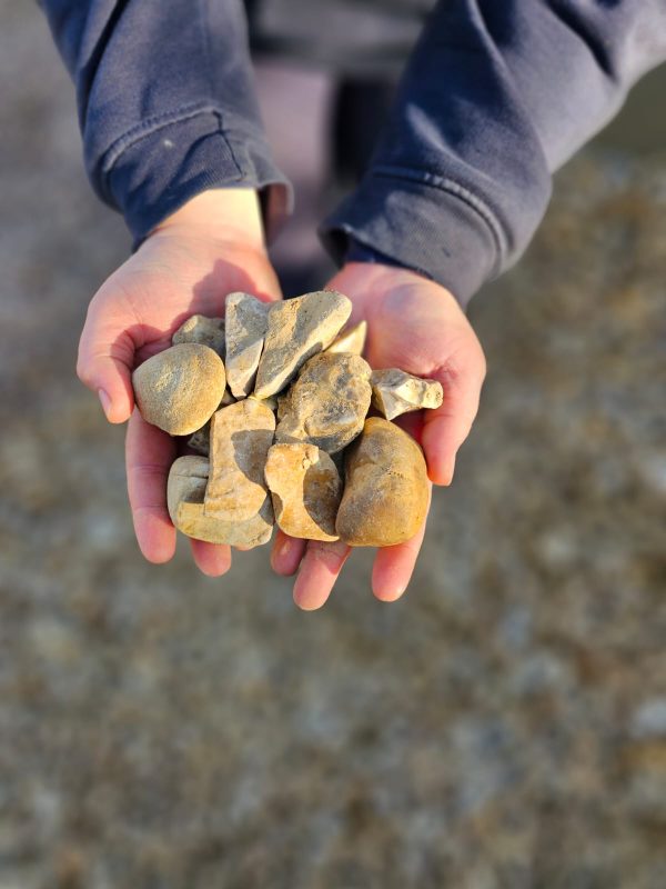 40mm Mixed Gravel - Image 2