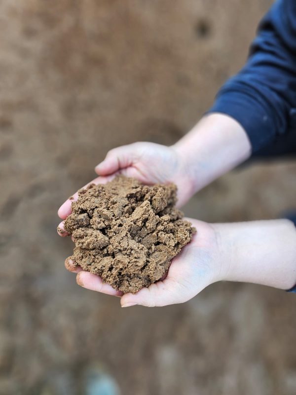 Fill Sand - Image 2