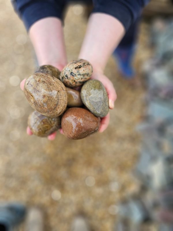 80/30mm Scottish Cobbles - Image 2