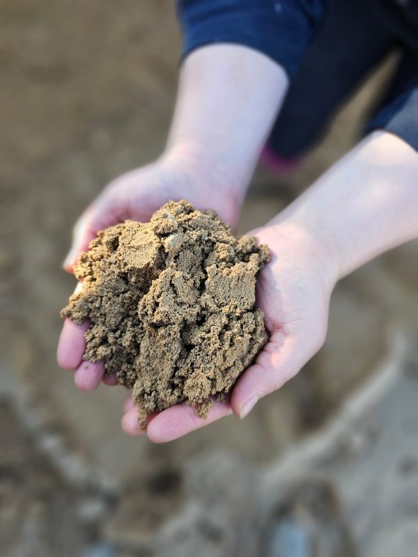 Yellow Building Sand - Image 2