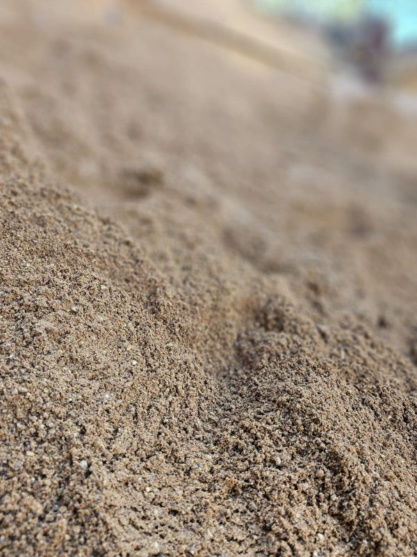 Sharp Sand - Image 3